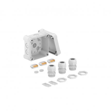 Junction box X 01 with cable gland and plug-in terminals