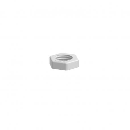 Locknut, metric thread, light grey M12_x_1,5 | 17