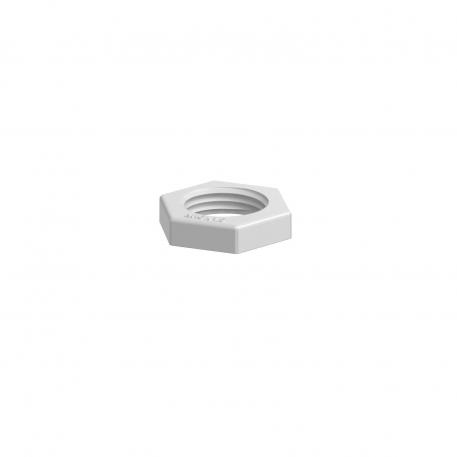 Locknut, metric thread, light grey M16_x_1,5 | 22