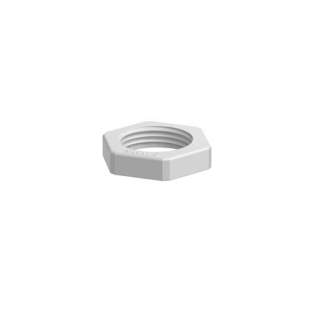 Locknut, metric thread, light grey M20_x_1,5 | 26