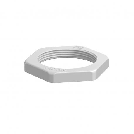 Locknut, metric thread, light grey M40_x_1,5 | 50