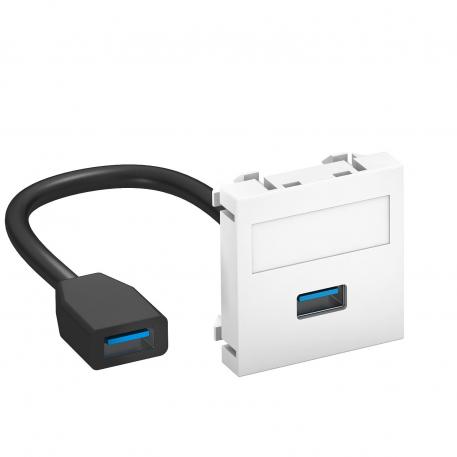 USB 2.0/3.0 connection, 1 module, straight outlet, with connection cable  |  | USB | Pure white; RAL 9010