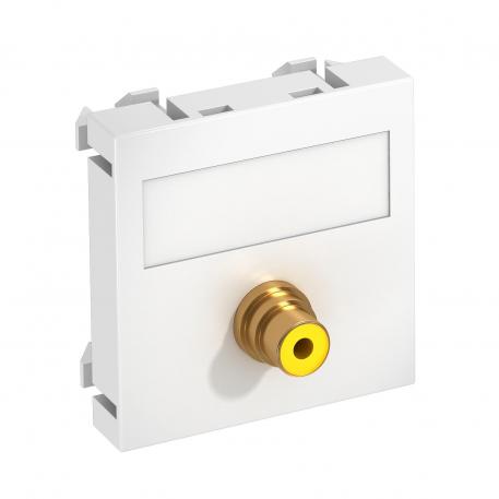 Video cinch connection, 1 module, straight outlet, as 1:1 coupling, pure white  |  | Cinch | Pure white; RAL 9010