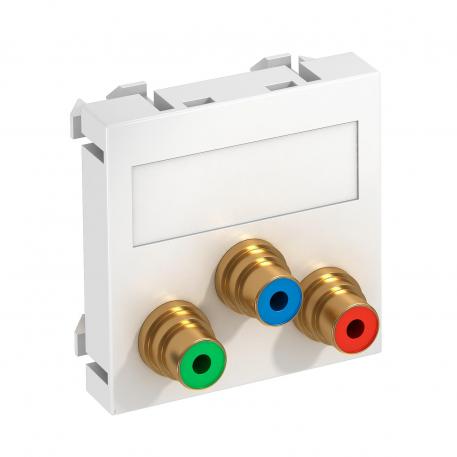 Component video connection, 1 module, straight outlet, as 1:1 coupling, pure white  |  | Cinch | Pure white; RAL 9010