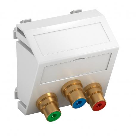 Component video connection, 1 module, slanting outlet, as 1:1 coupling, pure white  |  | Cinch | Pure white; RAL 9010