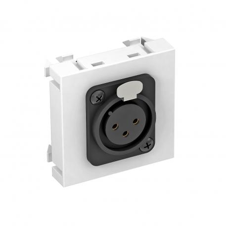 XLR connection, 1 module, straight outlet, 3-pin socket, as screw connection, pure white  |  | XLR | Pure white; RAL 9010